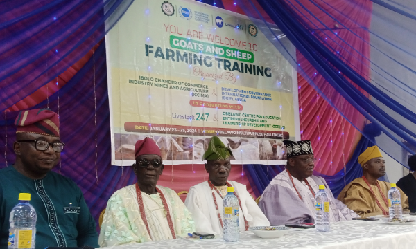 ICCIMA, DGIF Hold 3-Day Training On Goats, Sheep Farming For Farmers In Ibolo Land